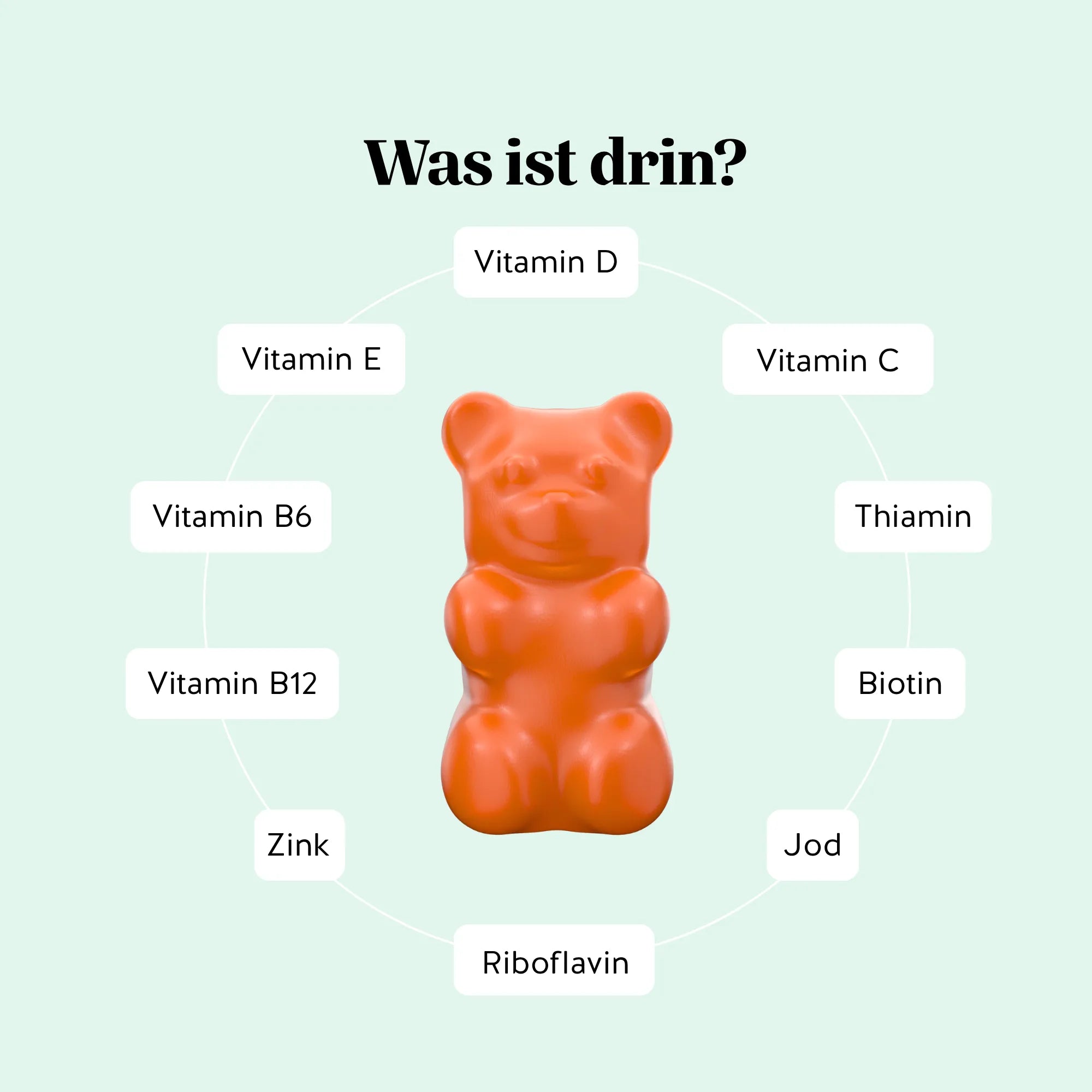 Inhaltsstoffe der All In One Kids Vitamine von Bears with Benefits mit Vitaminen D, C, E, B1, B2, B6, B12, Biotin sowie Zink und Jod.
