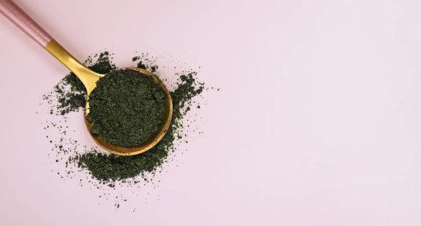 Chlorella - Entgiftung und Wirkung im Körper im Fokus
