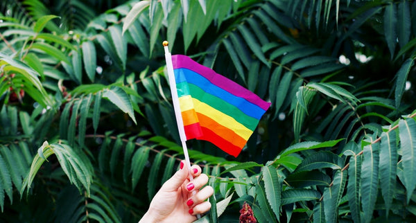 Pride Month: wir lieben alle Farben des Regenbogens!