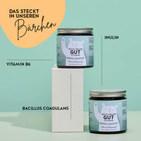 Diese Inhaltsstoffe und Nährstoffe stecken in den One In A Billion Gut Vitamins von Bears with Benefits: Vitamin B6, Inulin und Bacillus Coagulans.