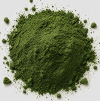 Chlorella