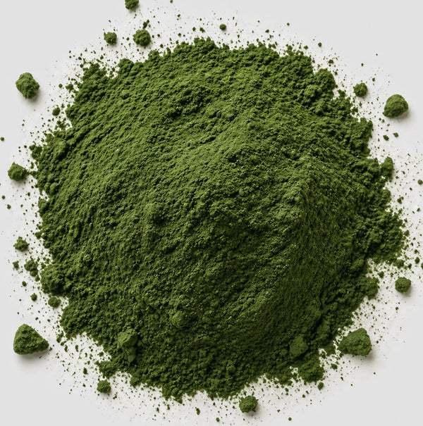 Chlorella