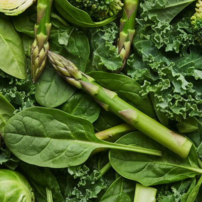 Folsäure (Vitamin B9)