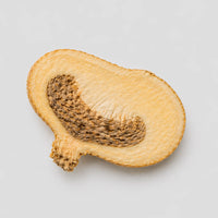 Maca
