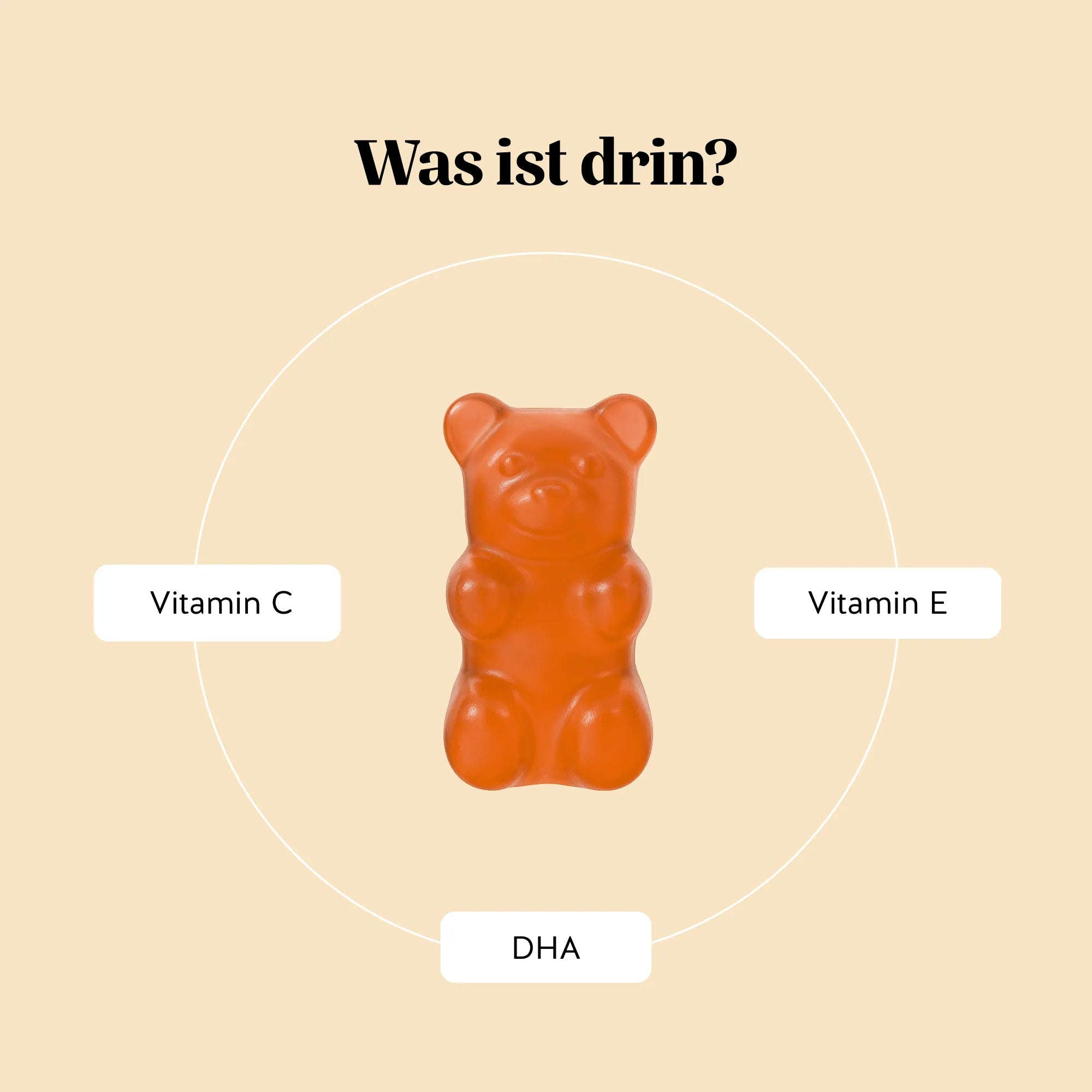 Inhaltsstoffe von Catch of the Day Vitality Support mit Omega-3 DHA und Vitamin C von Bears with Benefits, ausgewählt zur Unterstützung der Energie und der normalen Funktion des Körpers.