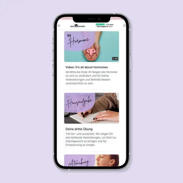 Dies sind Beispiele für Inhalte des Online-Kurses "Das Menopause Tagebuch - Unser 8 Wochen Programm für den Wechsel" von Bears with Benefits zum Thema Wechseljahre. Beispielsweise wird es um Hormone gehen.