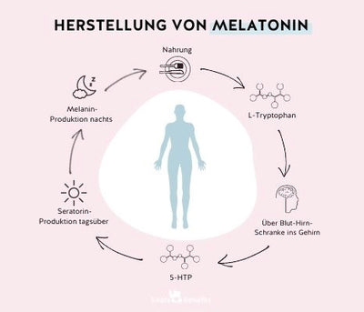 So funktioniert die Herstellung von Melatonin im menschlichen Körper