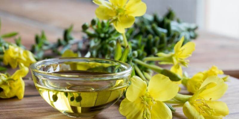 Die Anwendungsgebiete des Naturheilmittels Nachtkerzenöl