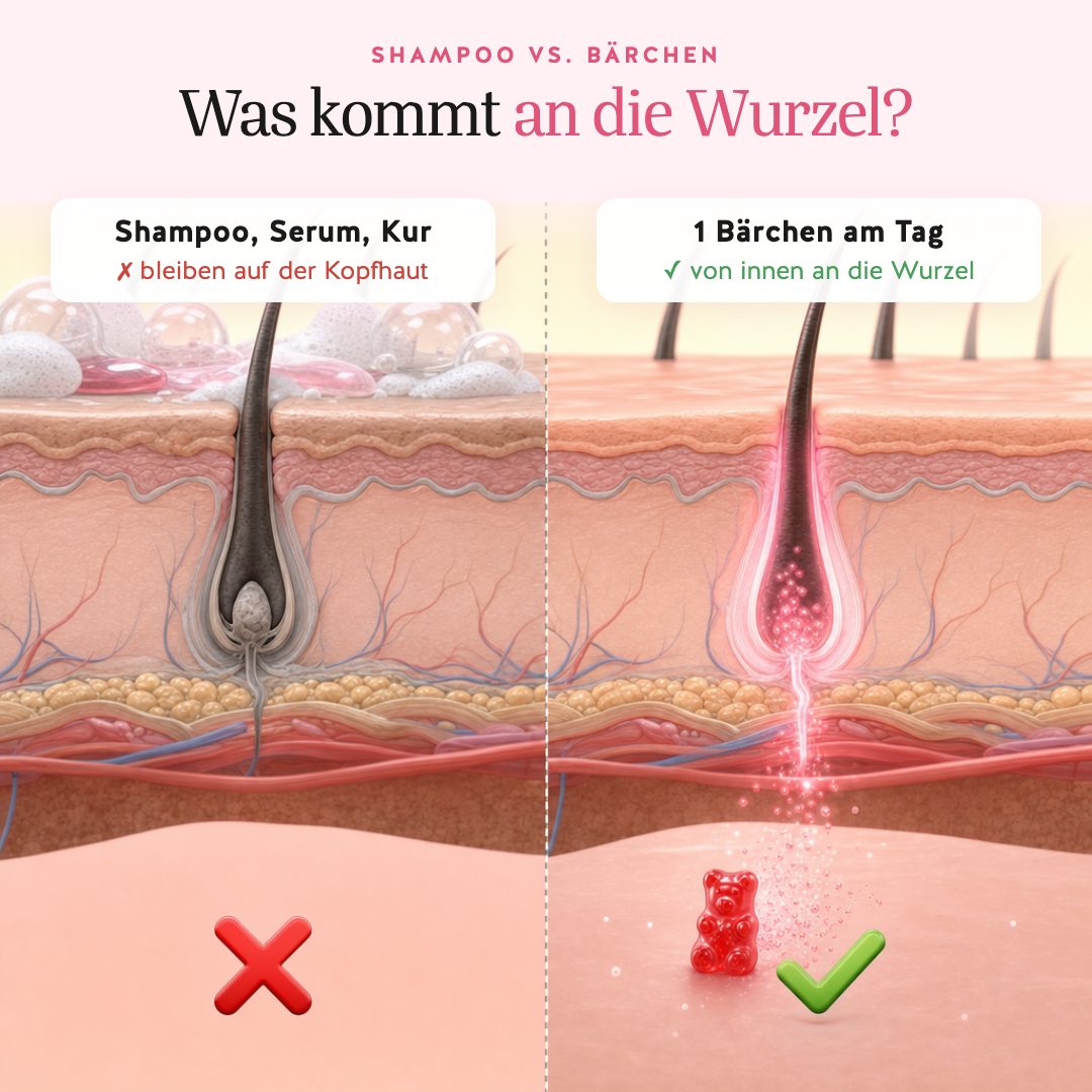 Shampoo & Co. bleiben auf der Kopfhaut, das Bärchen kommt von innen an die Wurzel